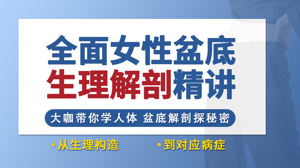 全面女性盆底生理解剖精讲J