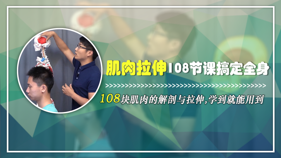 108节课搞定全身肌肉拉伸J