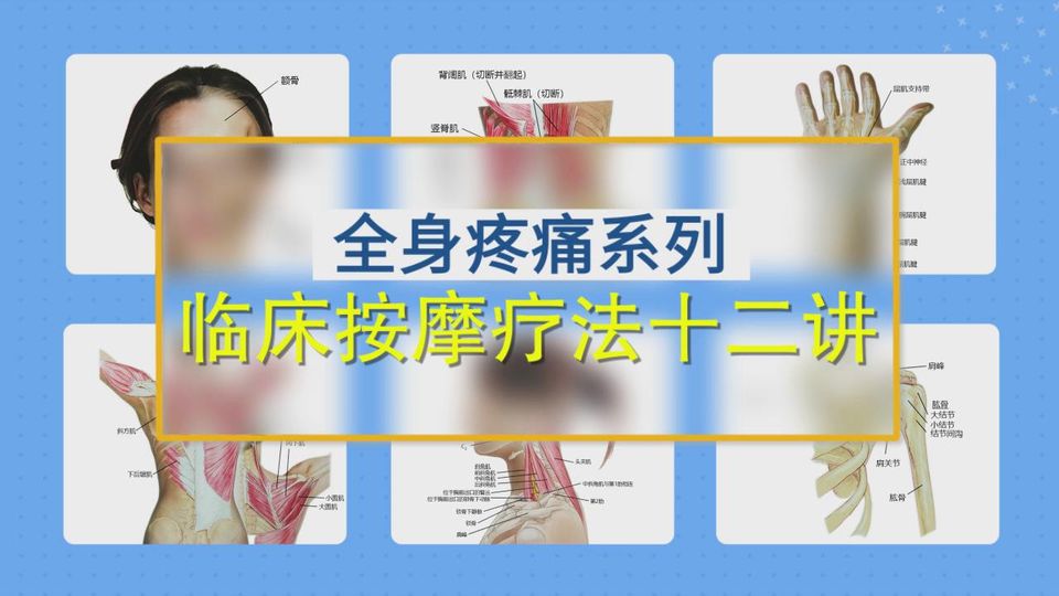 【理论+实操手法】常见病的康复手法实践课，基础临床按摩疗法！vv
