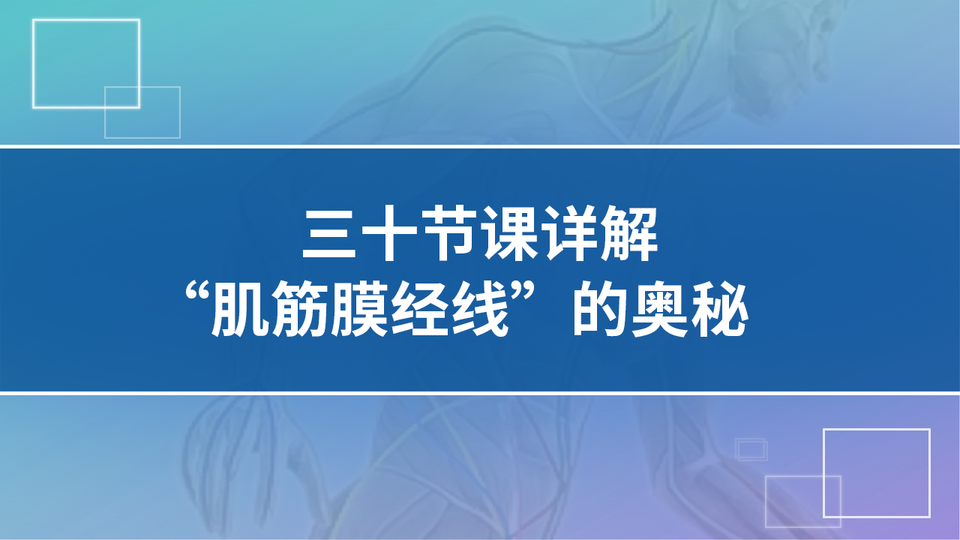 30节课详解“肌筋膜经线”的奥秘vv