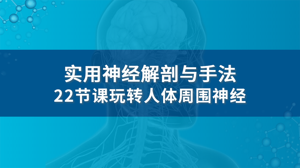 实用神经解剖与手法，22节课玩转人体周围神经vv